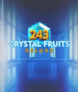 Насладитесь сияющим обновлением классики с игрой 243 Crystal Fruits Deluxe от Tom Horn Gaming, демонстрирующей яркую визуализацию и современный взгляд на традиционные фруктовые слоты. Насладитесь трепетом от превращения фруктов в кристаллы, которые предлагают динамичный геймплей, включая повторные вращения, дикие символы и делюкс-множитель. Идеальный микс традиционной игры и современных инноваций для каждого любителя слотов.